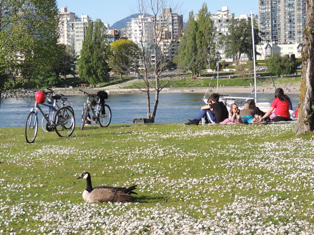 Parque con bicicletas y gente en Canadá